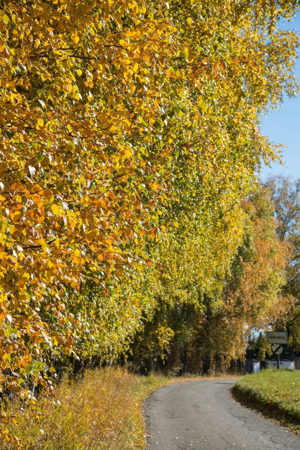 Moderne Wohnung in Pöls mit großer Terrasse-Binnen