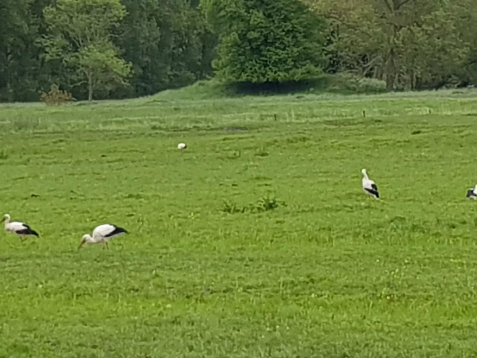 Beim Bracksee-Binnen