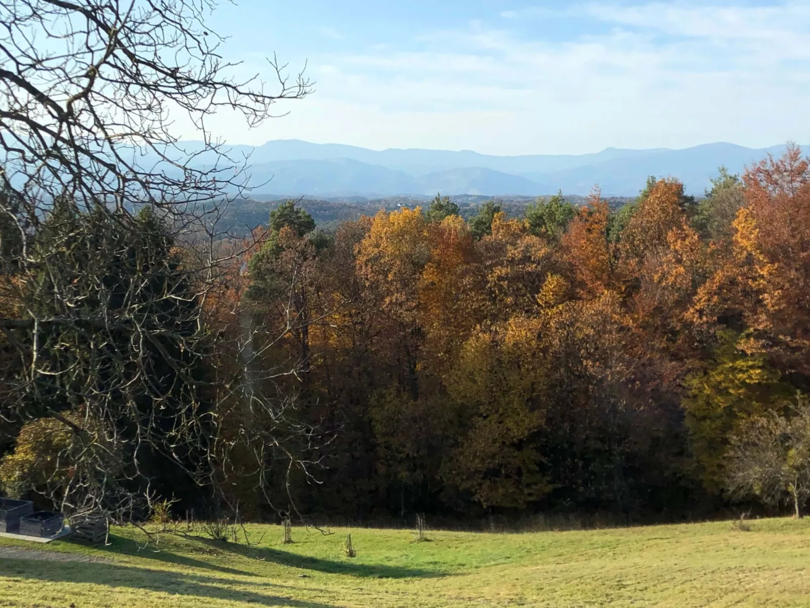 LandLoft-Image-tags.info