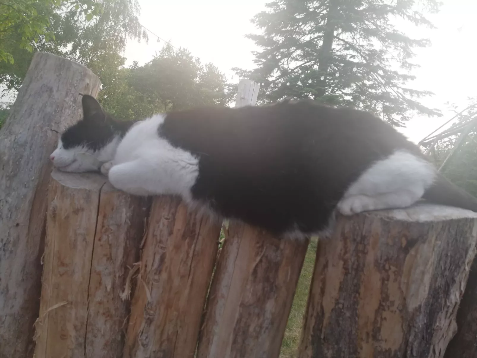 Landhaus Müritzliebe-Binnen