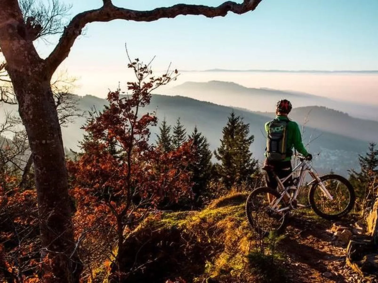 Haus mit Whirlpool, Sauna und Schwarzwaldblick-Binnen