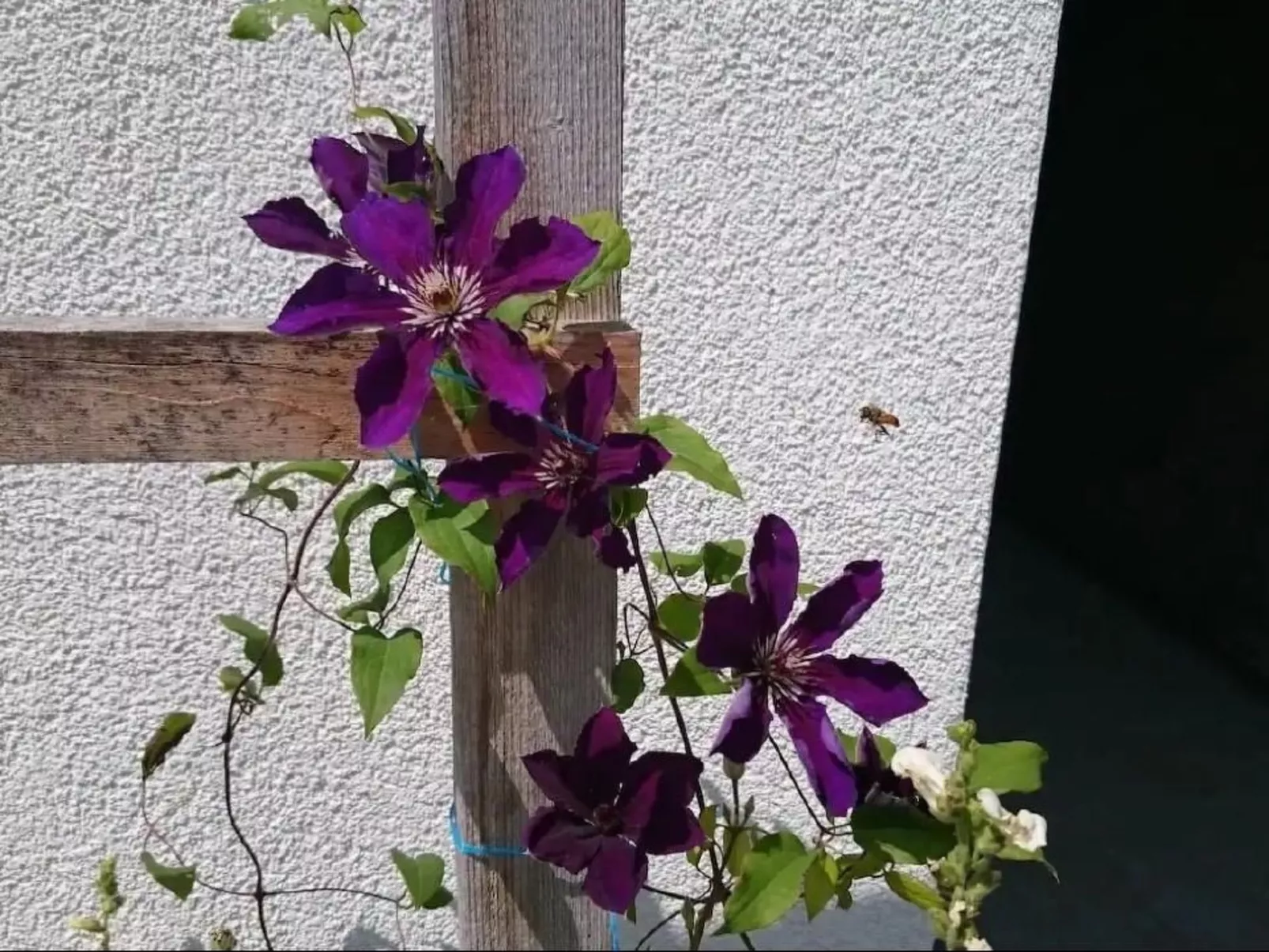 Wellness Oase-Image-tags.info