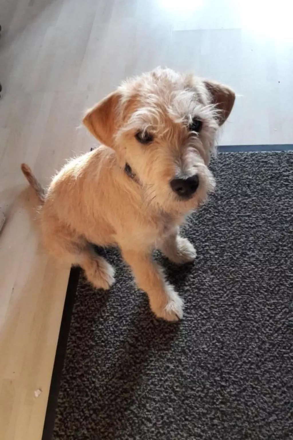 Bättwil-Image-tags.info