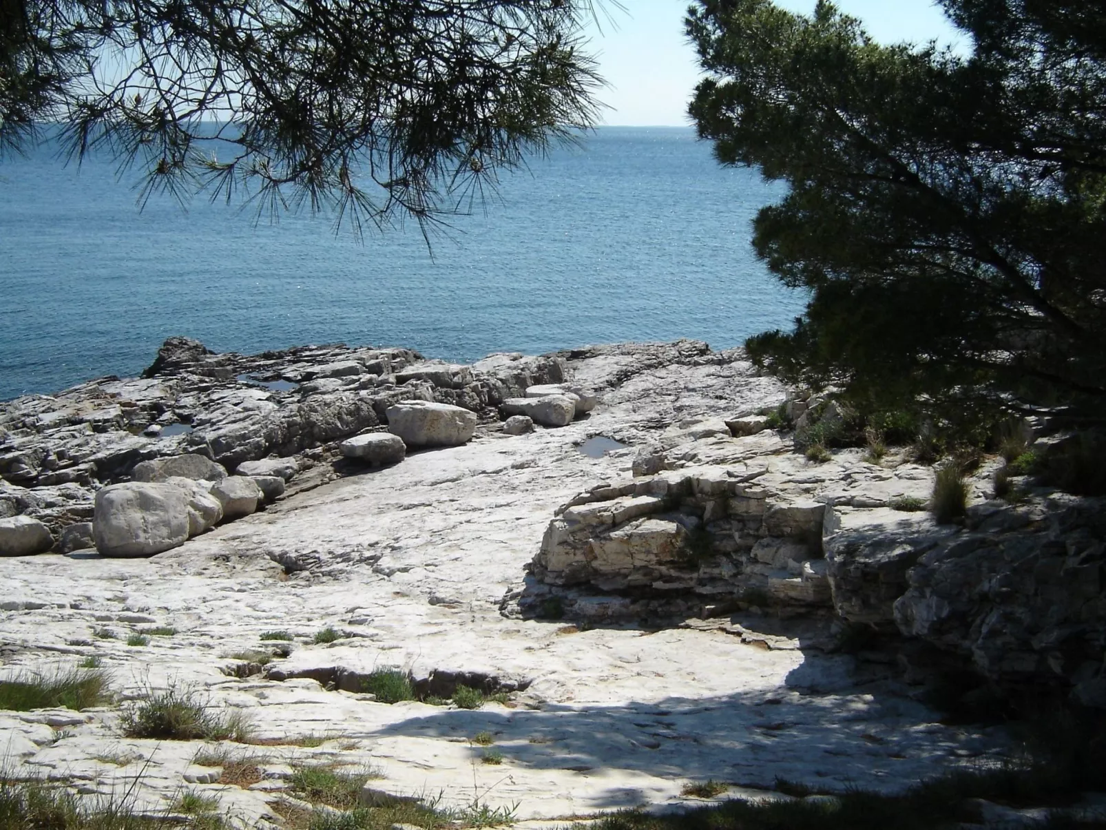 Gemütliches Appartment direkt am Strand-Binnen