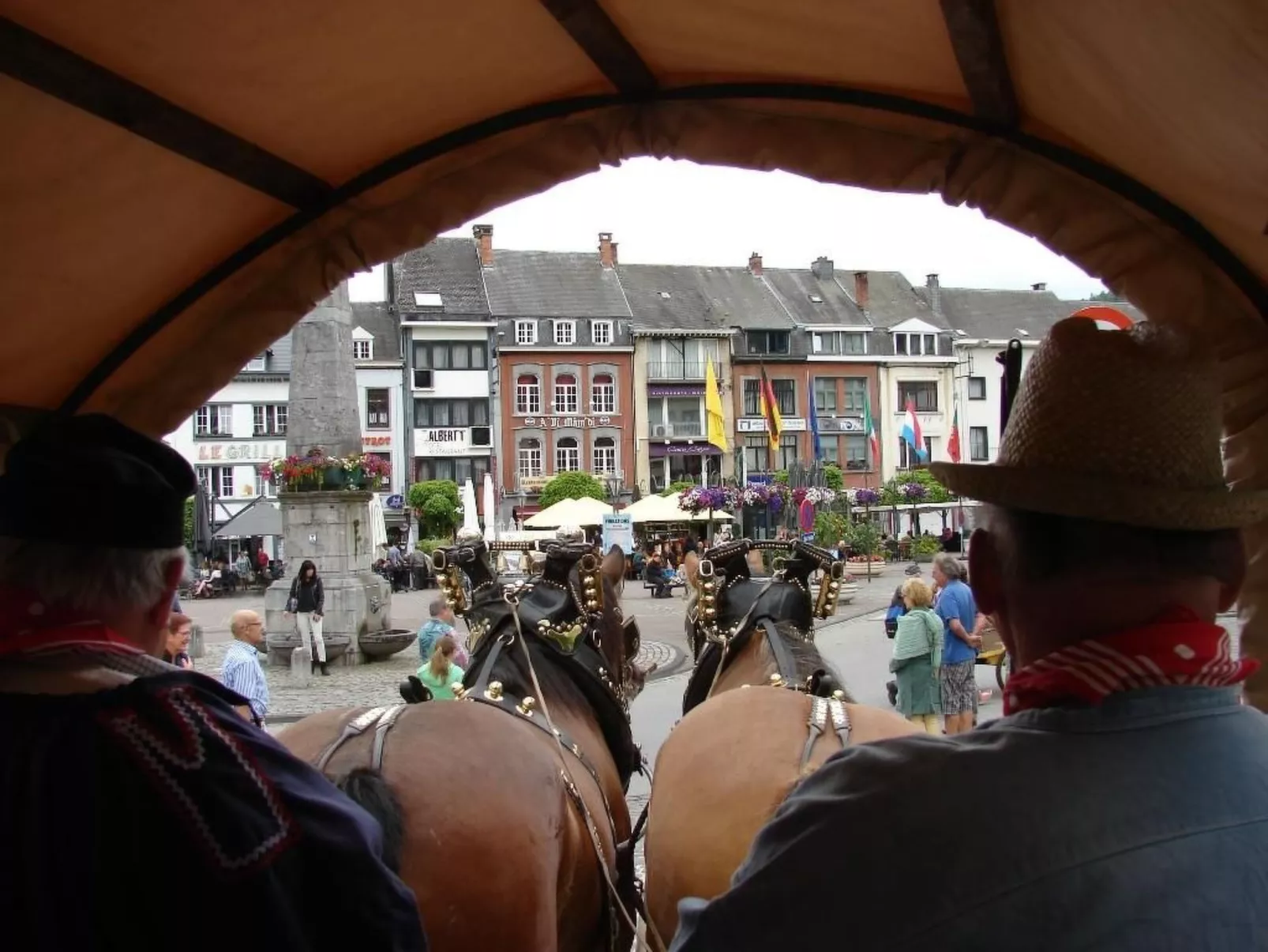 Snowview Lodge-Binnen