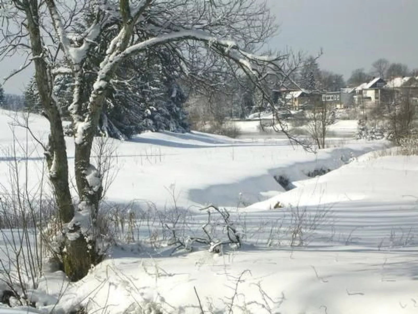 Ferienw. Natur pur-Buiten