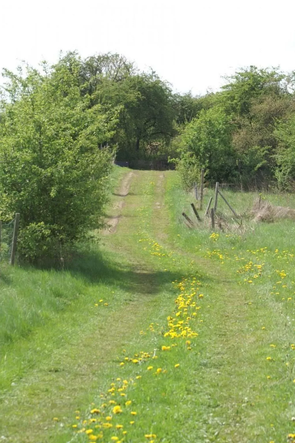 Gemütliche Maisonette Wohnung Seelenblick-Binnen