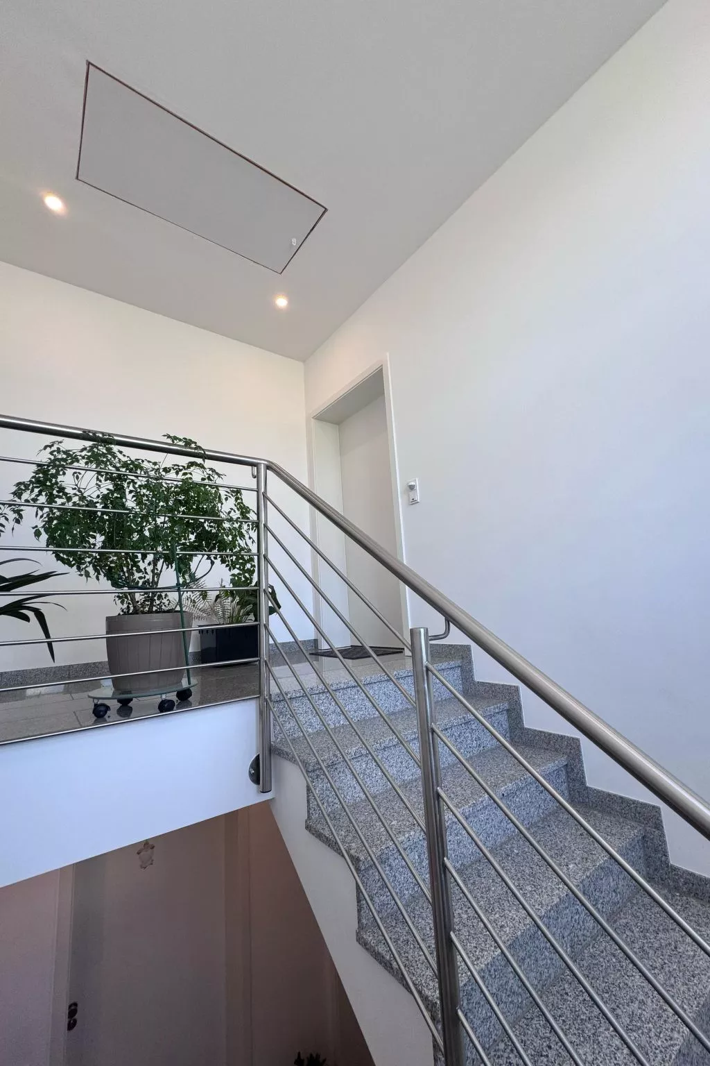 Dariana Schwalbach-Image-tags.info