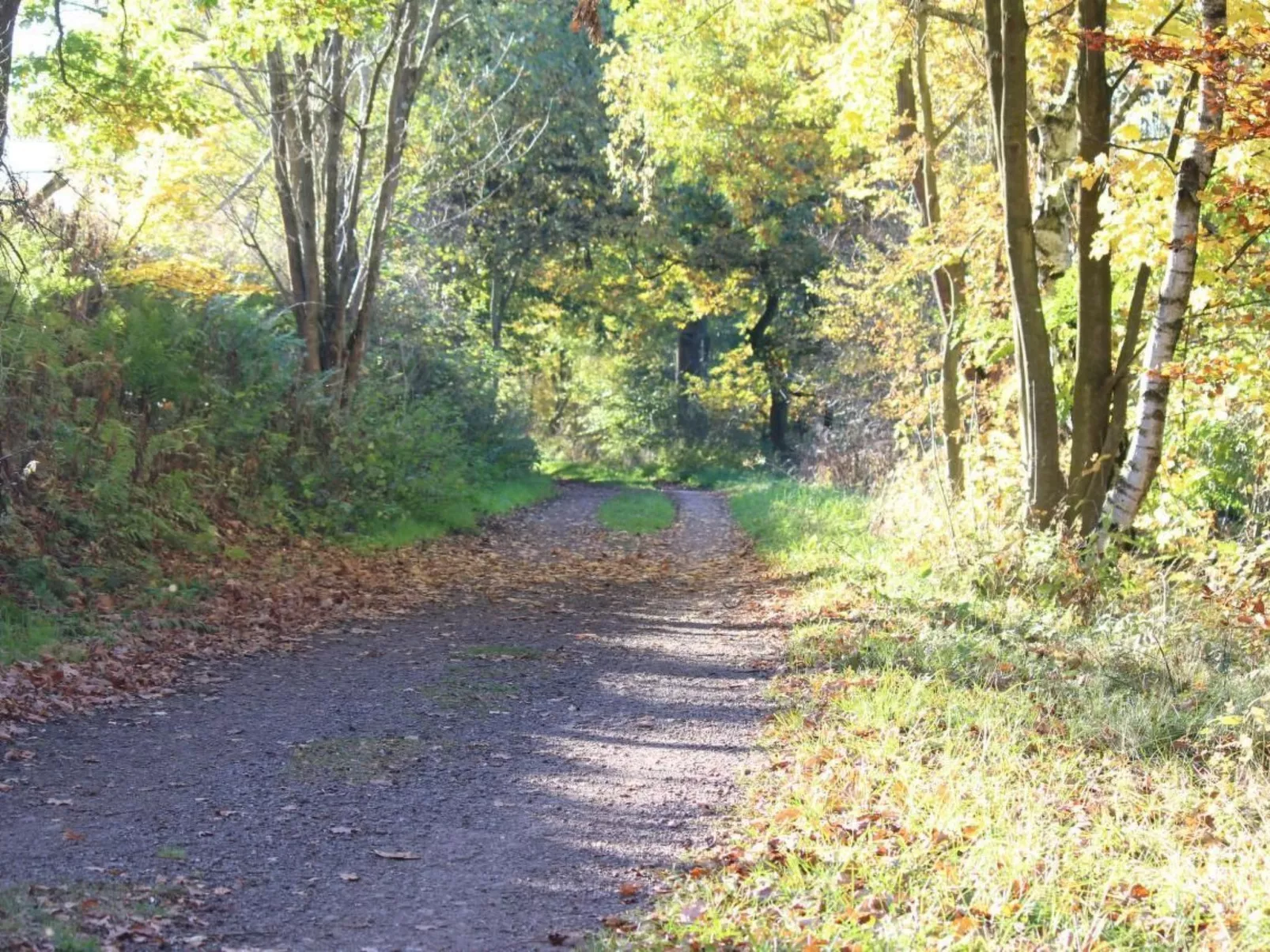 Wohnung in Heringhausen mit Grill-Binnen