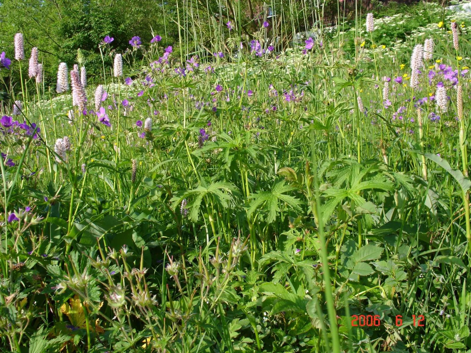 Charmantes, traditionelles Holzhaus-Binnen