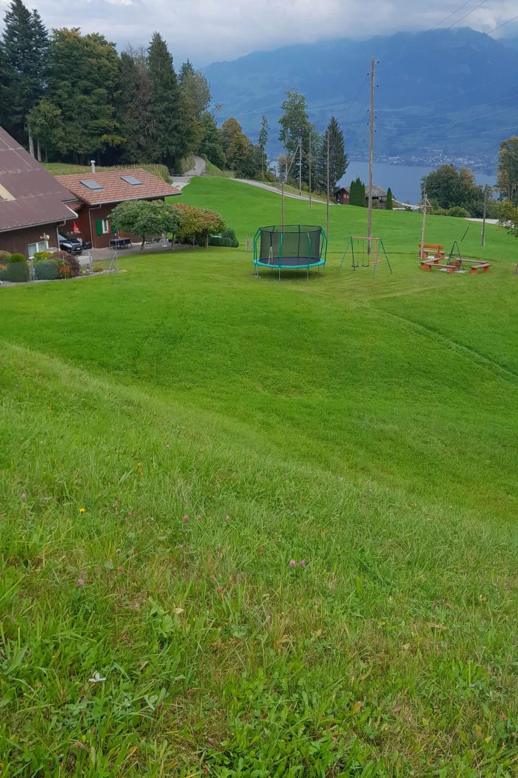 Giswil-Image-tags.info