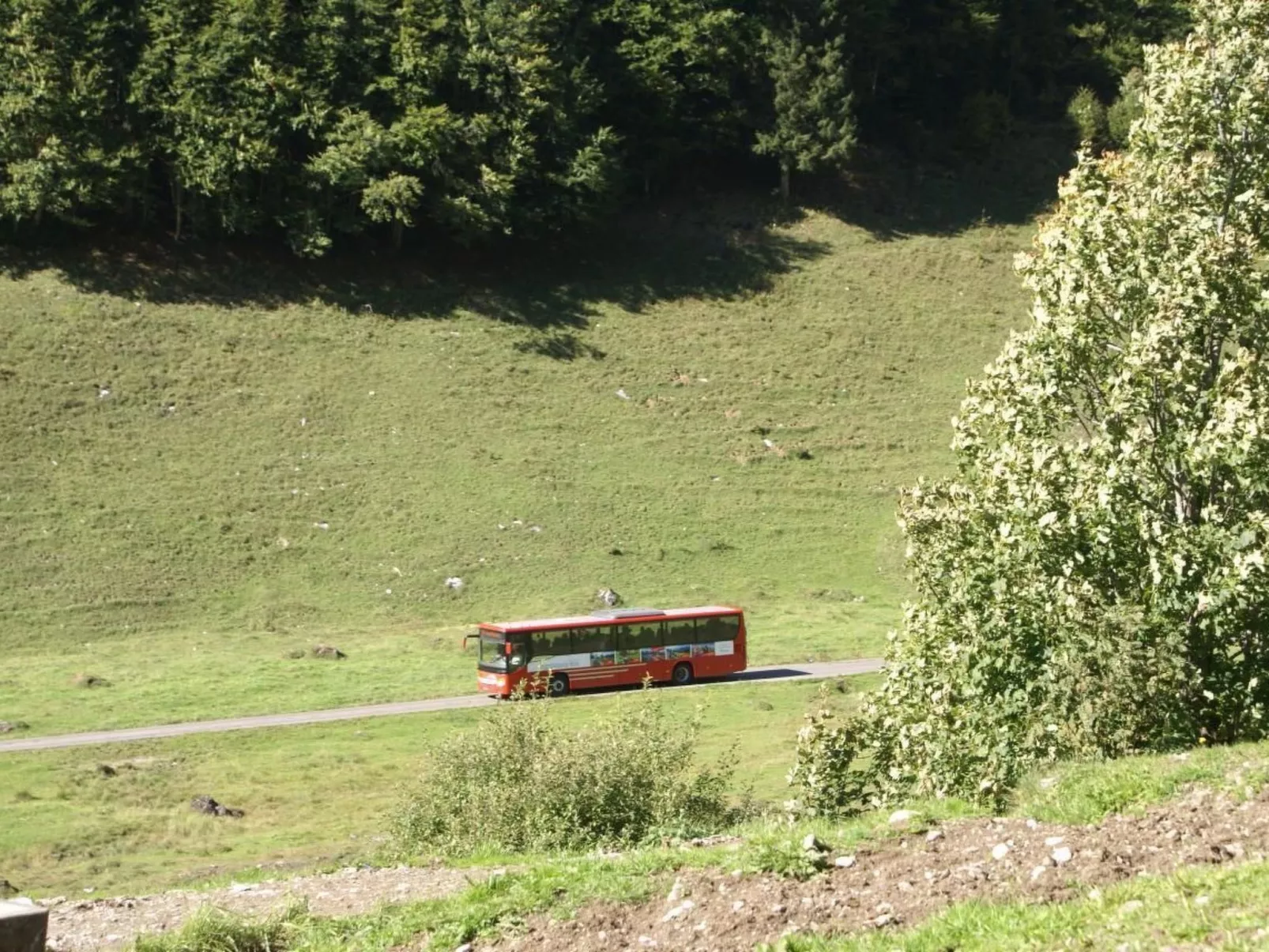 Alphütte Gental - Haslital-Buiten