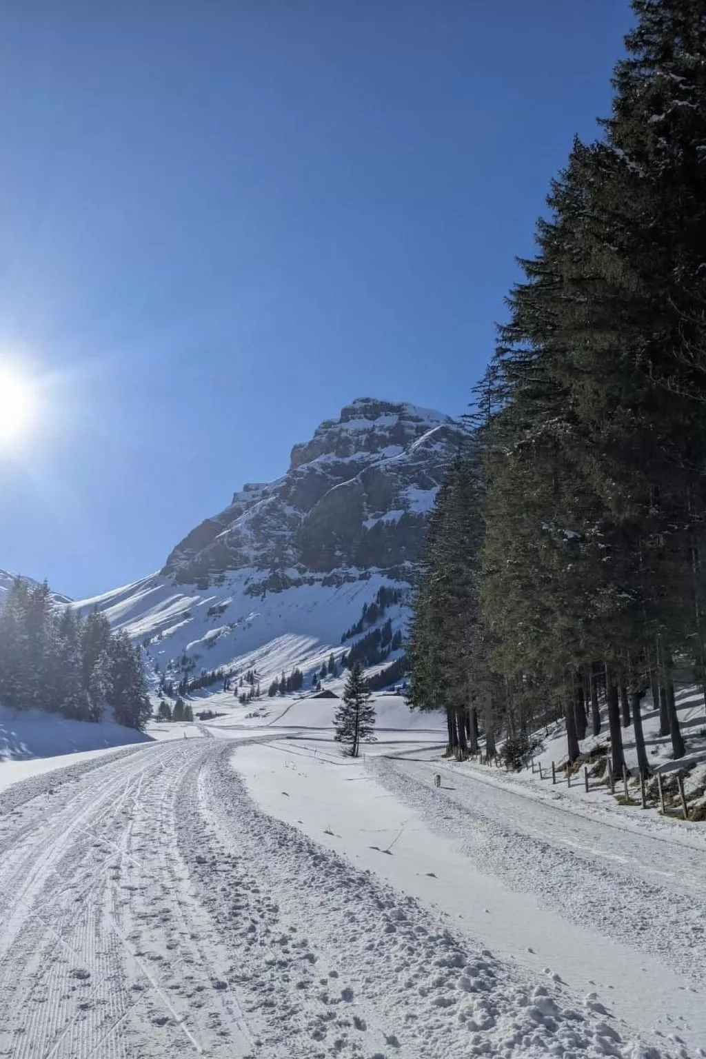 Amazing Chalet | Heidiland | Pool & Sauna-Buiten