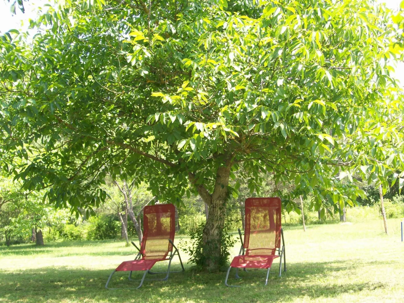 "Lana" mit Whirlpool-Buiten