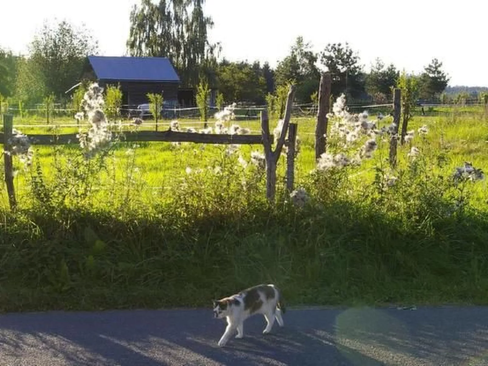 Blockhaus in Gajówka mit Kaminofen-Image-tags.info