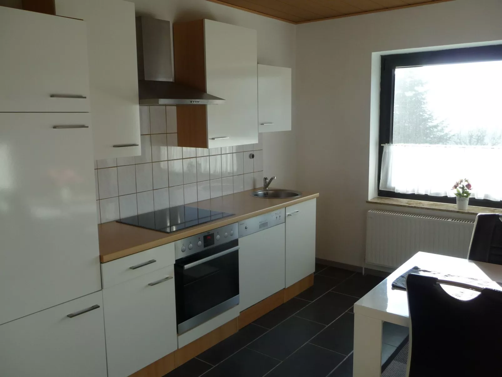 Apartment mit Hund-Binnen