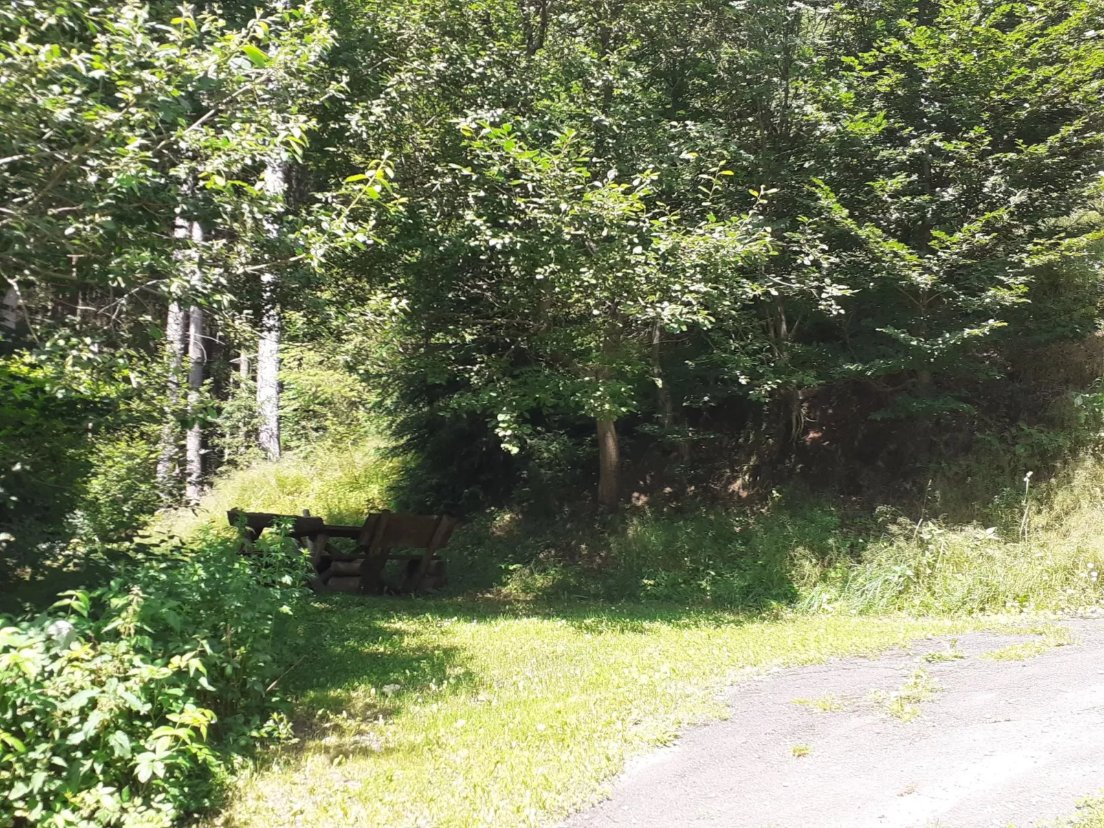 Für 6 Personen im Thüringer Wald-Buiten