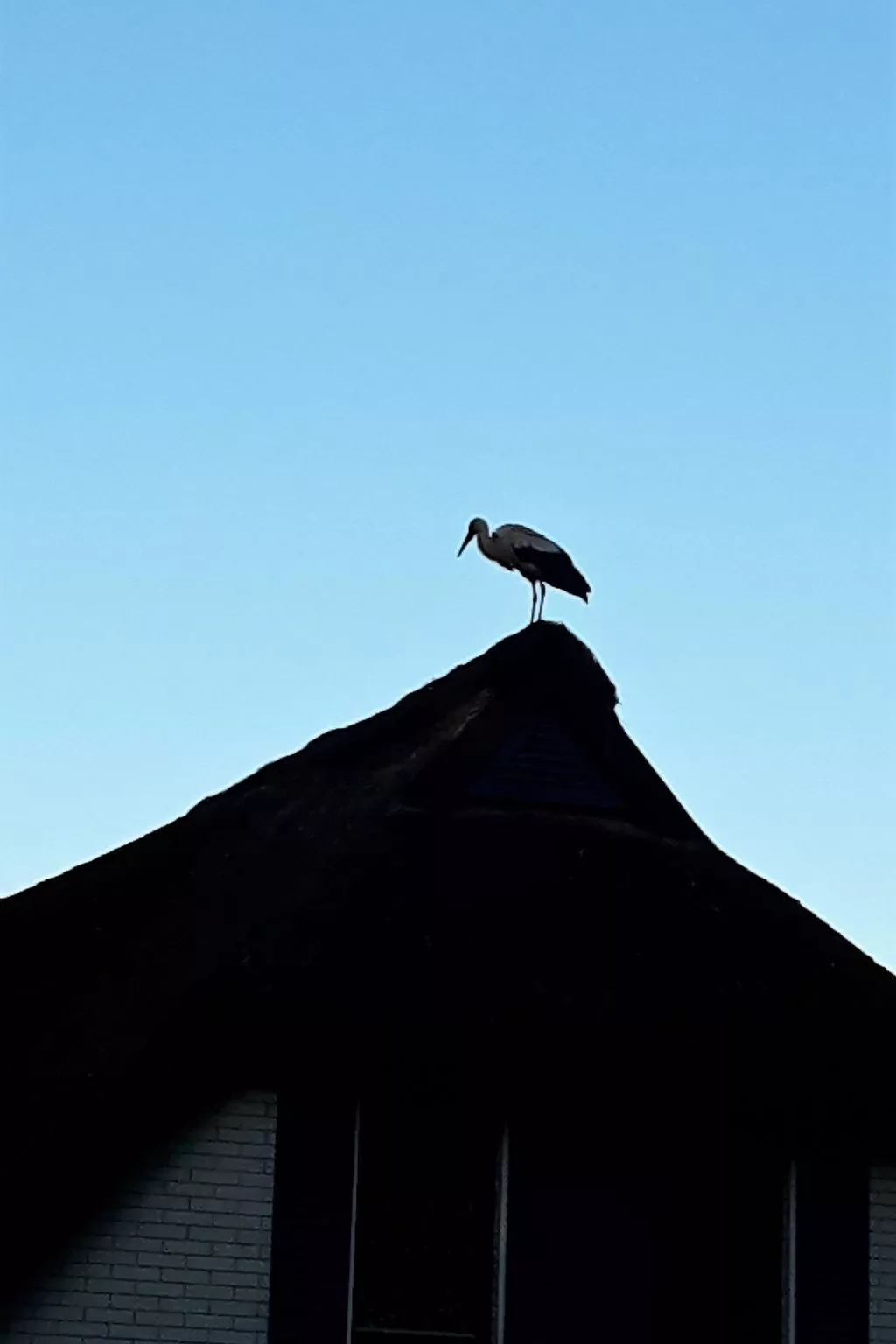 Haus-Zauberblau-Binnen