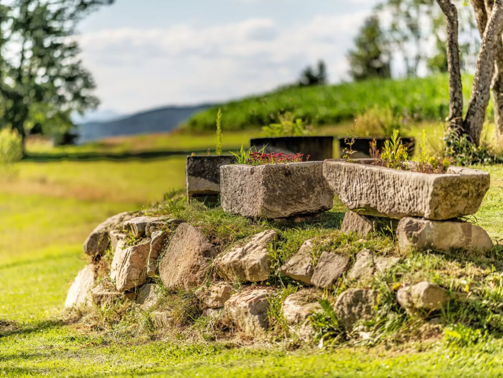 Hoizhaus am Badlberg-Image-tags.info