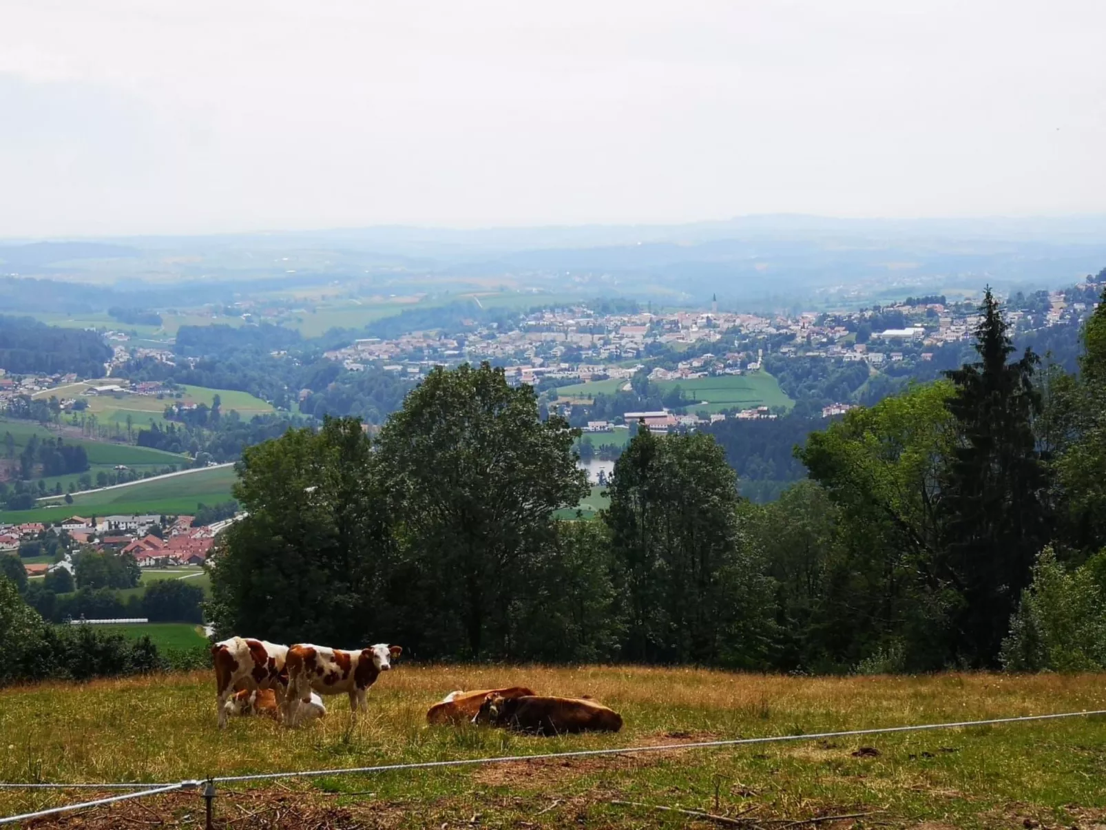 Wohnung mit möblierter Terrasse und Waldblick-Binnen