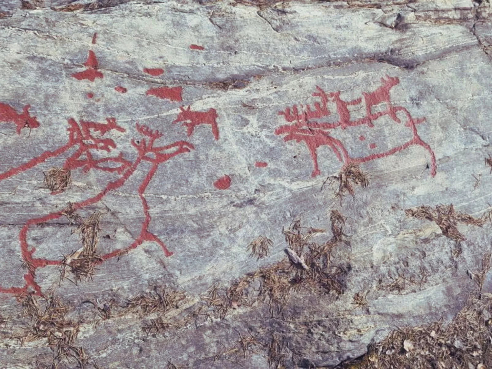 Gemütliches Ferienhaus Angermanland - höga Kusten-Image-tags.info