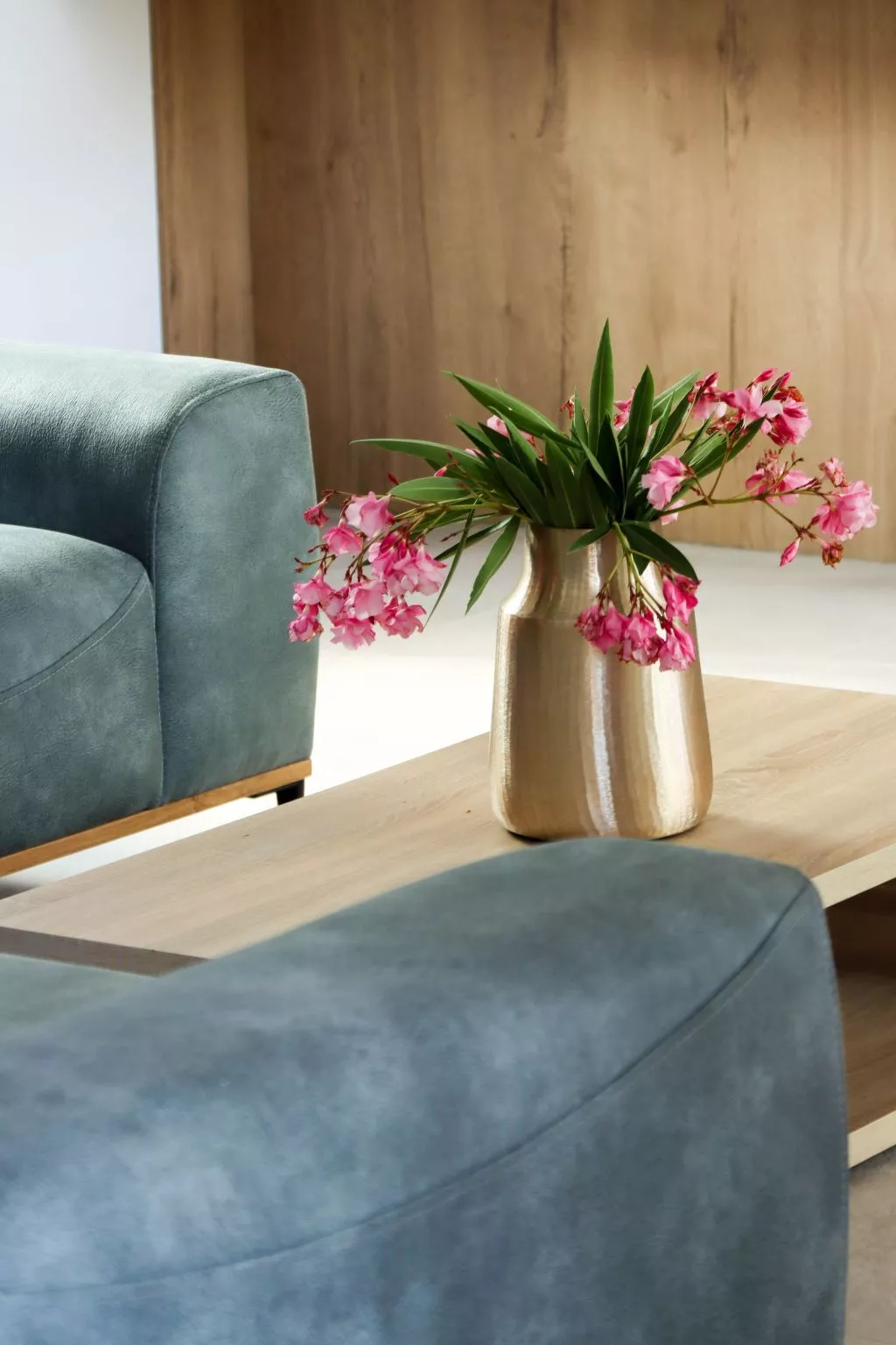 Villa Mi, Rukavac, Opatija Riviera-Binnen