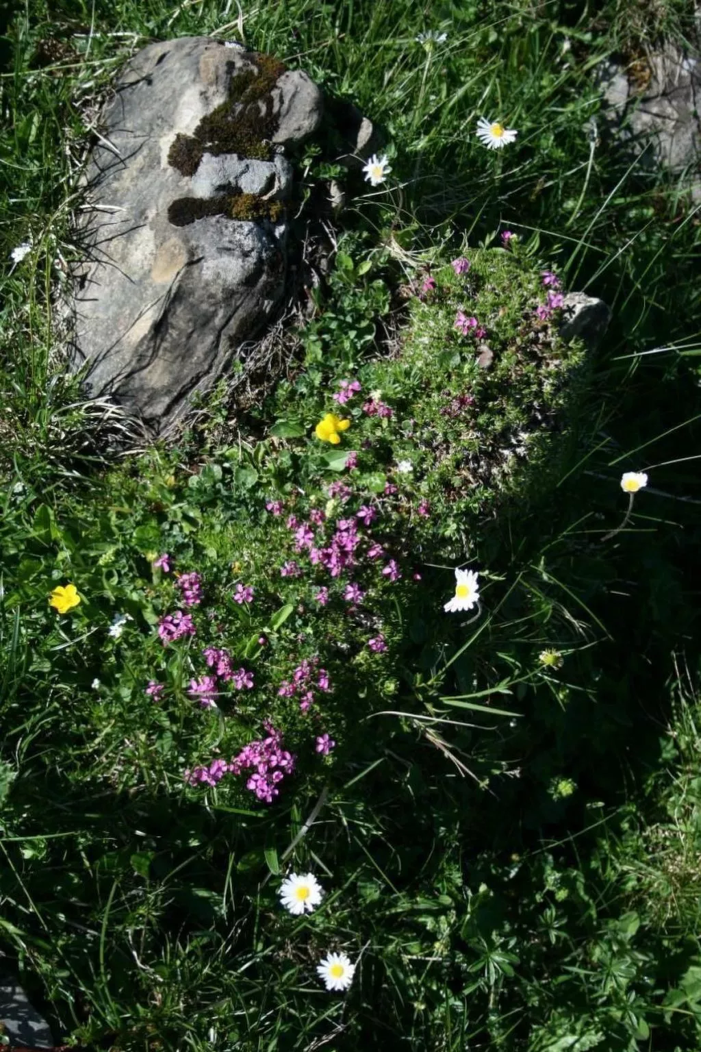 Fewo mit Herz-Image-tags.info