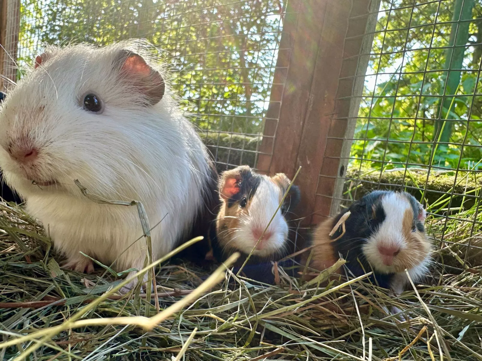 In  Green Valley Park 4-Binnen