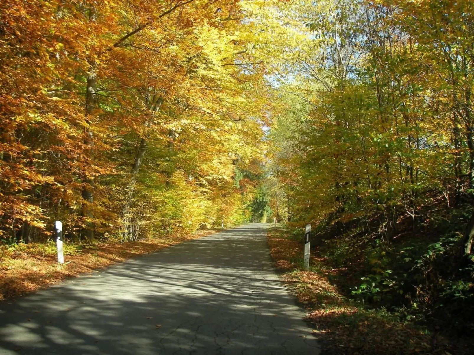 Haus "Hermann"-Binnen
