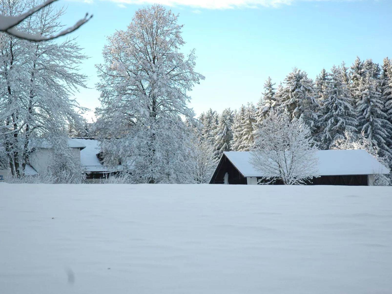 Vanessa-Image-tags.info