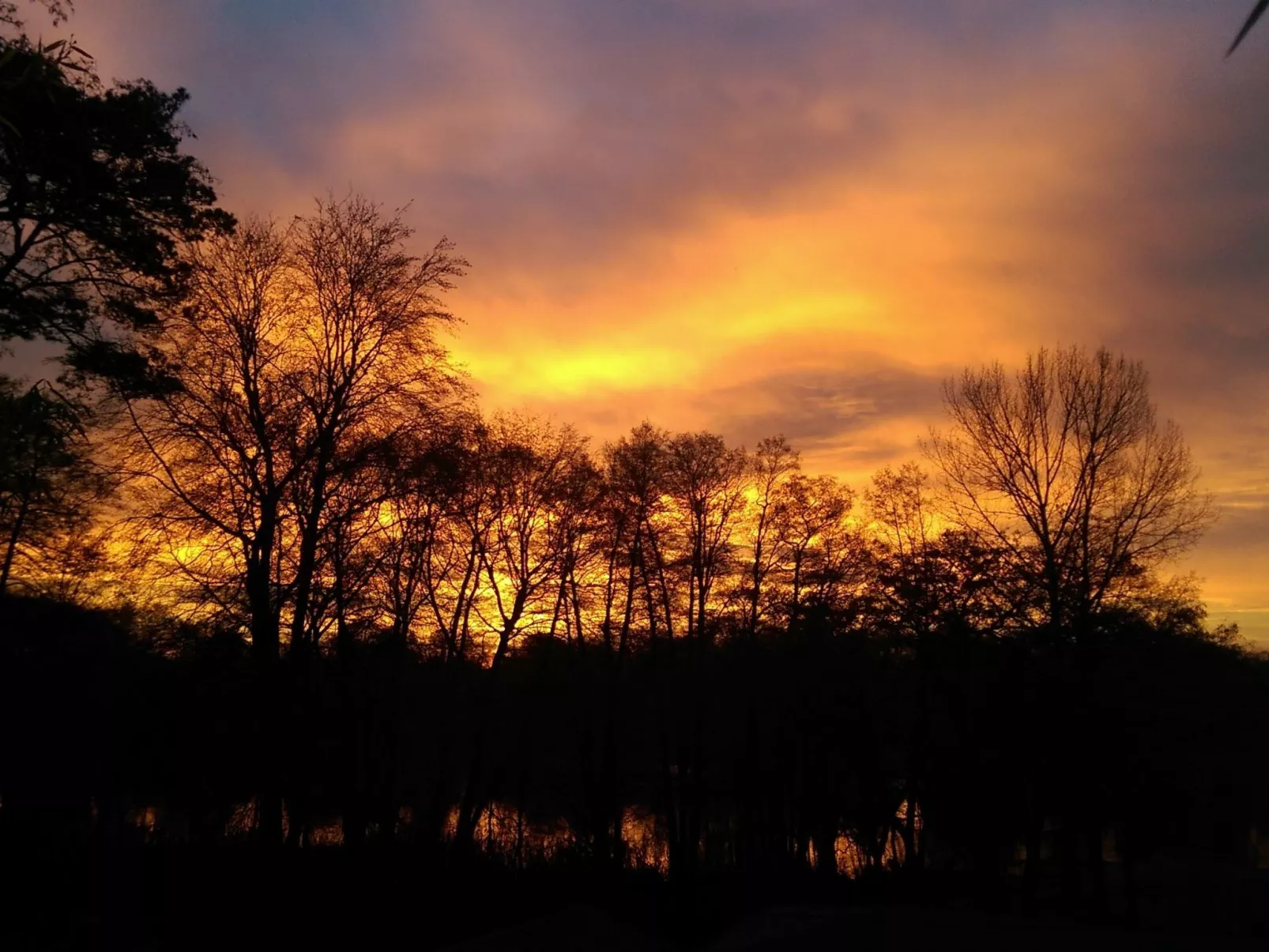 In Süd-Waldhanglage mit Seeblick-Binnen