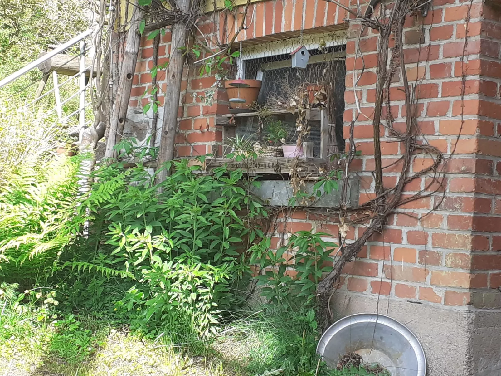 Für 6 Personen im Thüringer Wald-Buiten