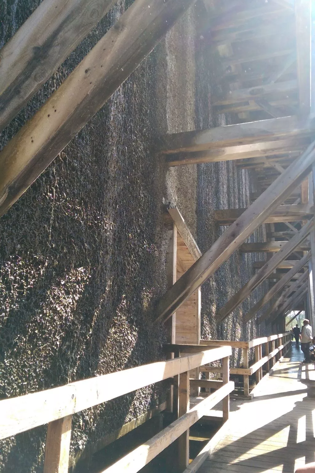 Apartment Gala, ruhige Lage, stadtnah-Buiten