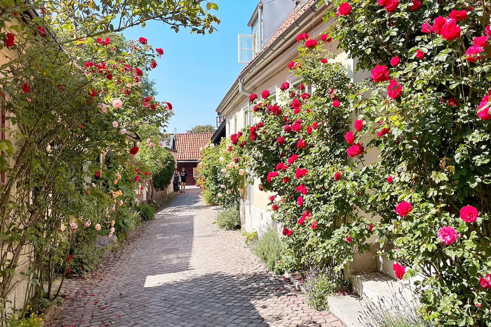 4 sterren vakantie huis in GOTLANDS TOFTA-By Traum