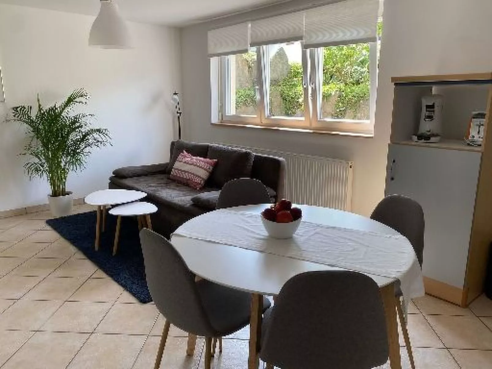 FeNiMo-Image-tags.info