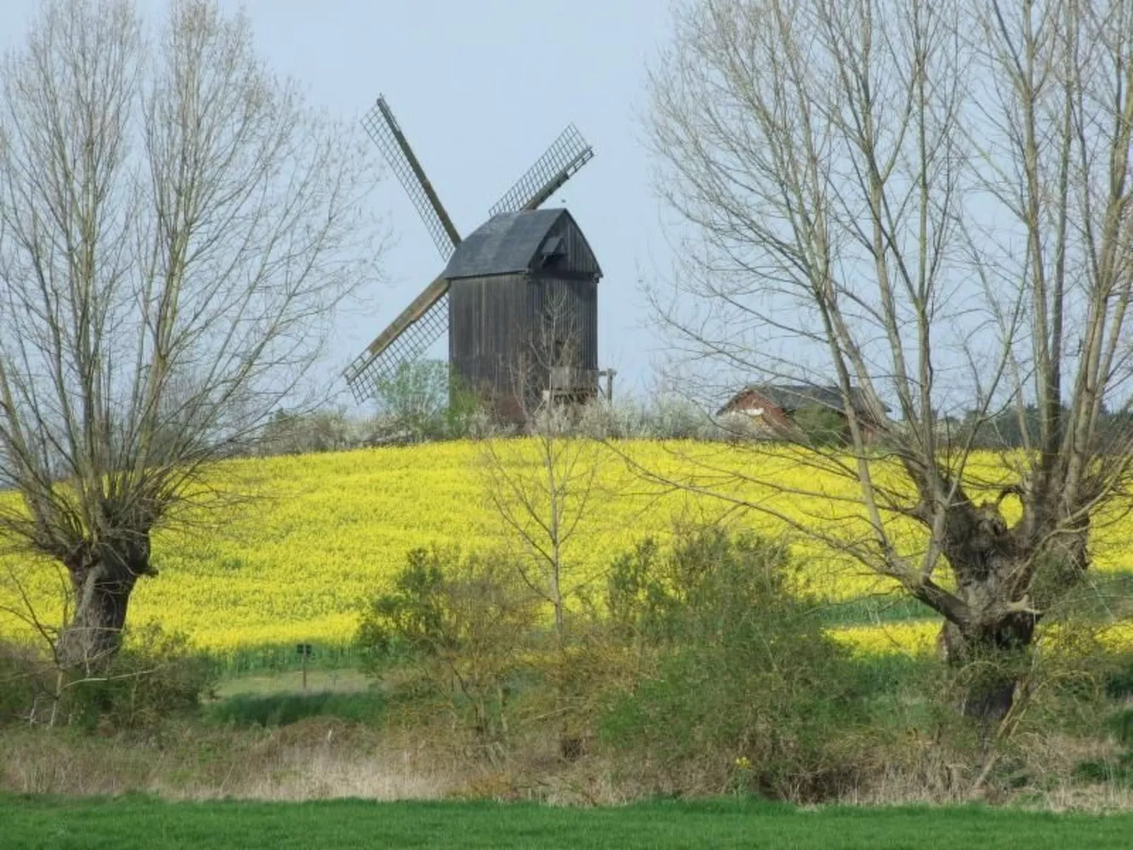 Am Buchenhain in Koserow-Binnen