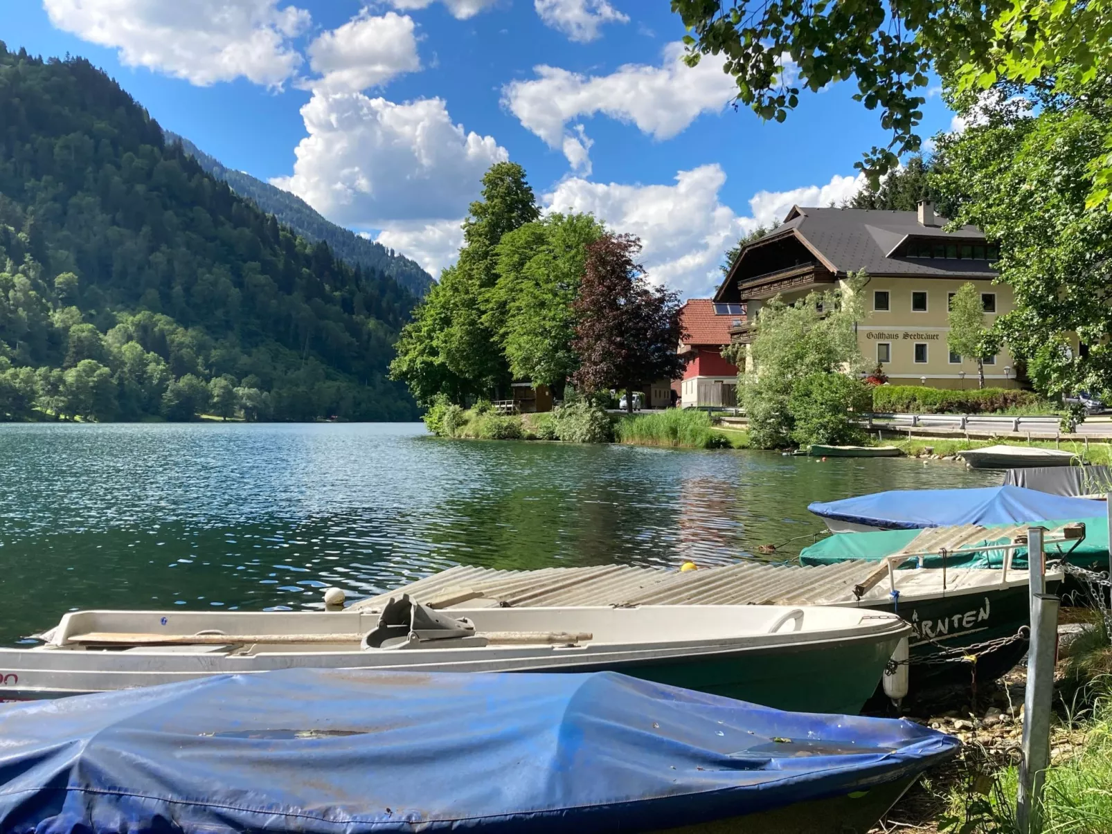 Im Haus Seebrauer in Feld am See-Buiten