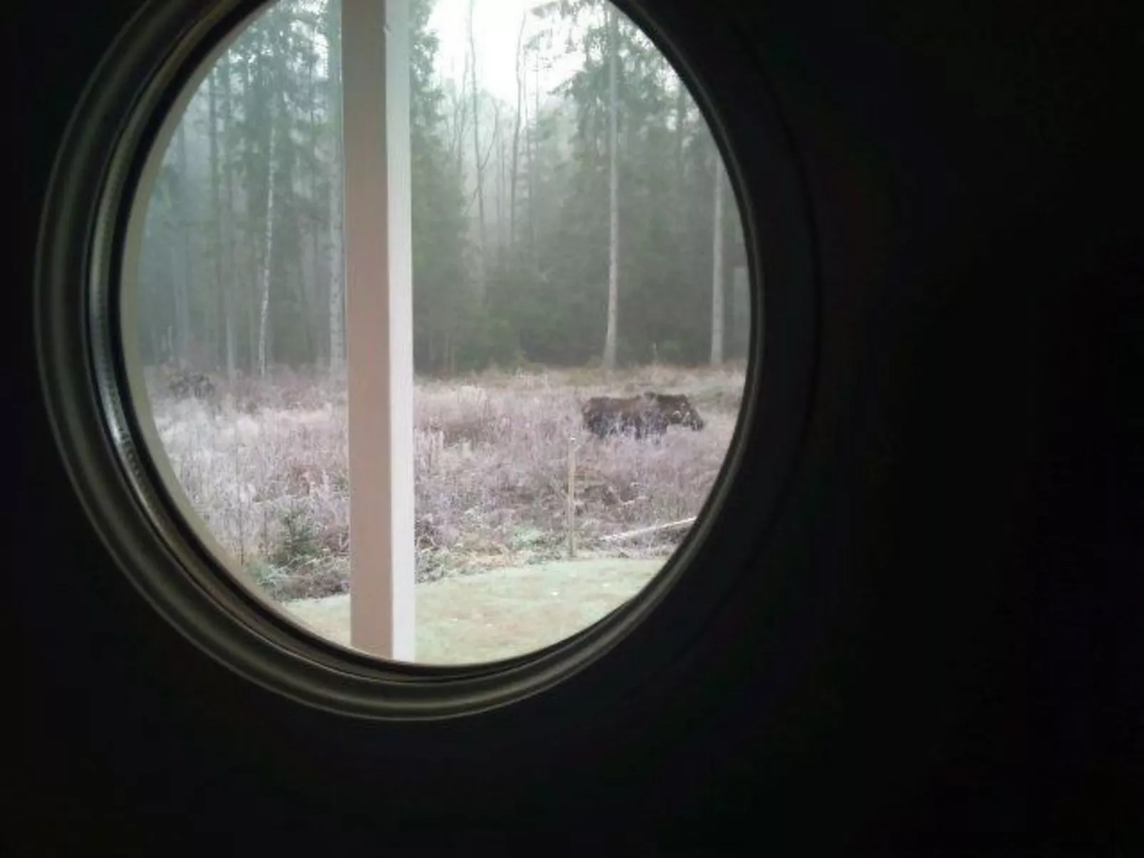Modernes Haus mit hellem Dekor, mit Blick auf den See-Binnen