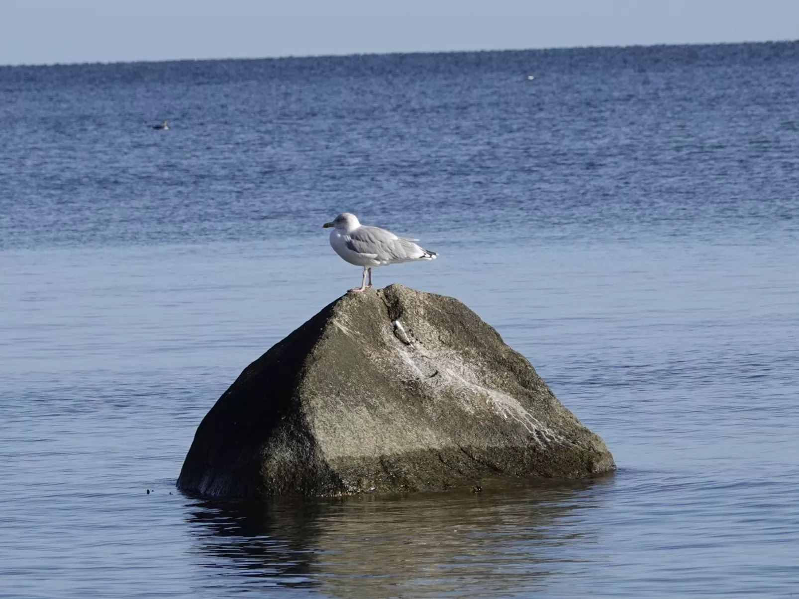 Hygge hus, tolle Ostseelage, freier Blick auf Felder-Image-tags.info