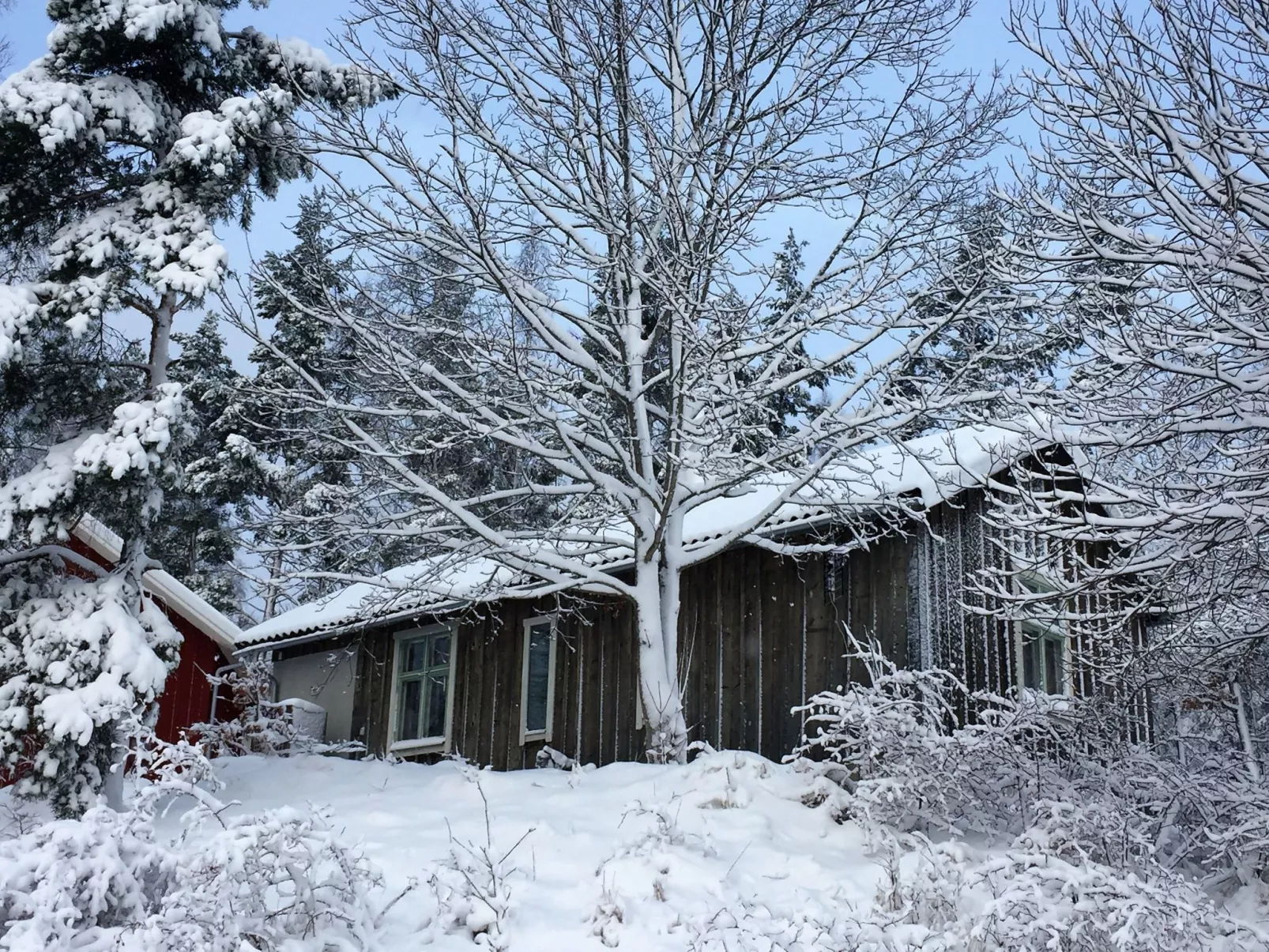 Nachhaltig und gefühlvoll in Seenähe-Binnen