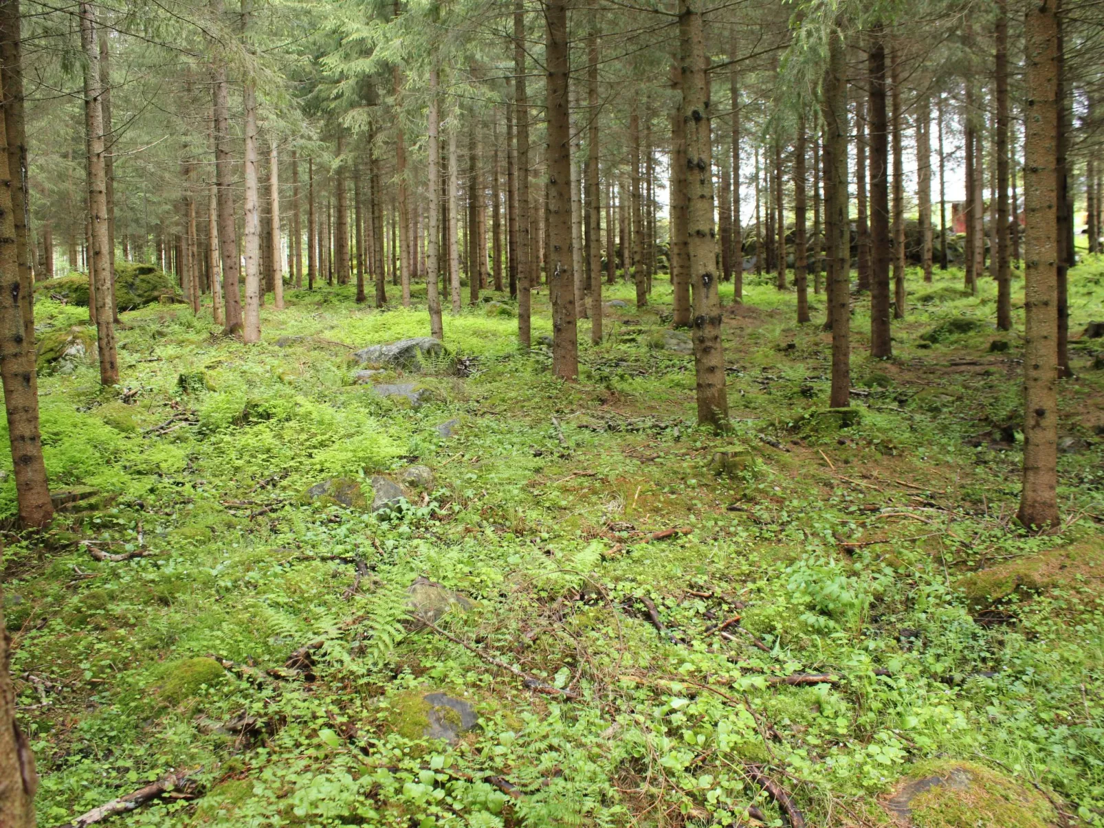 Anwesen mit eigenem Garten und Grill-Buiten