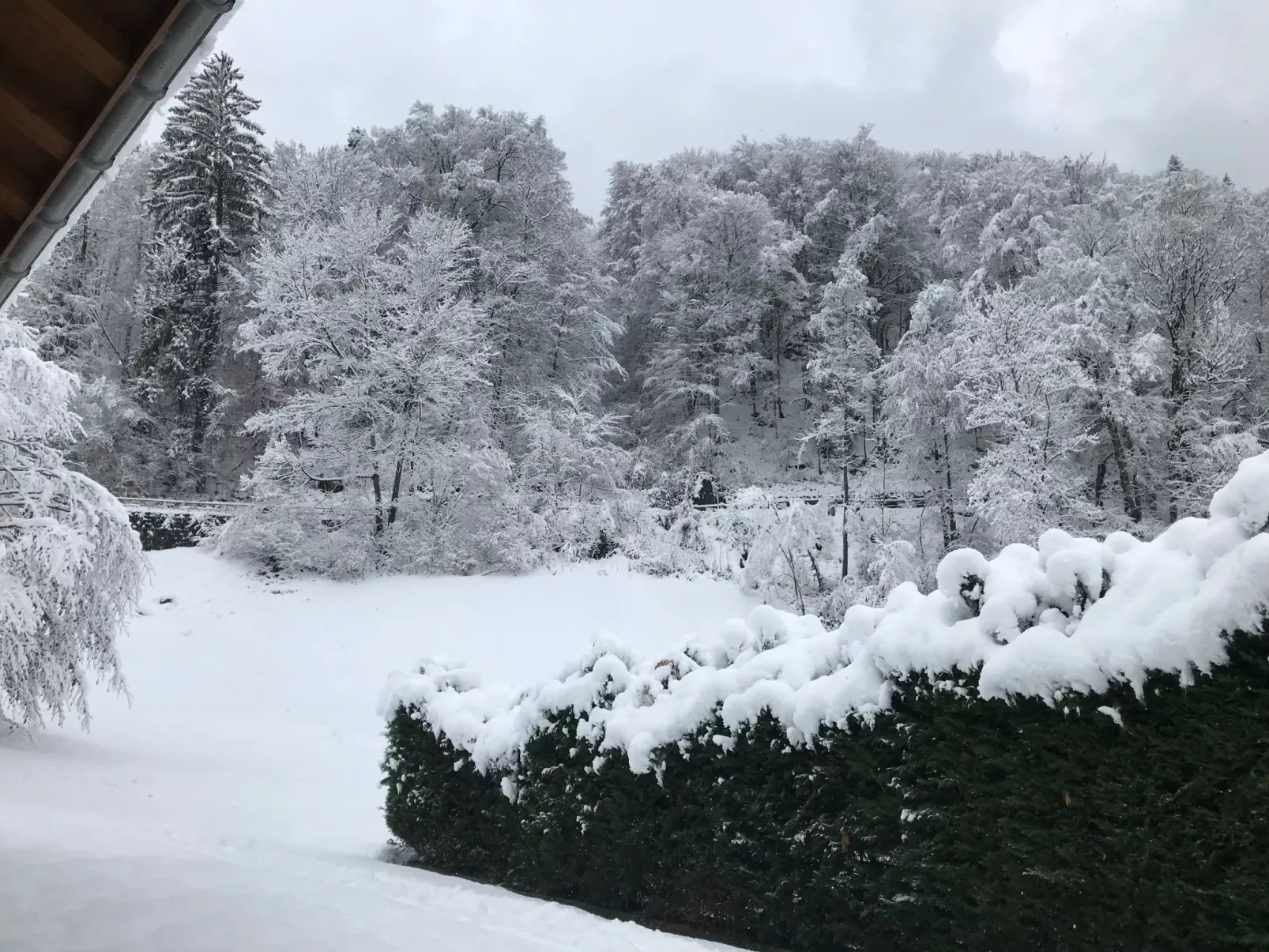 Chalet Tripfi-Binnen