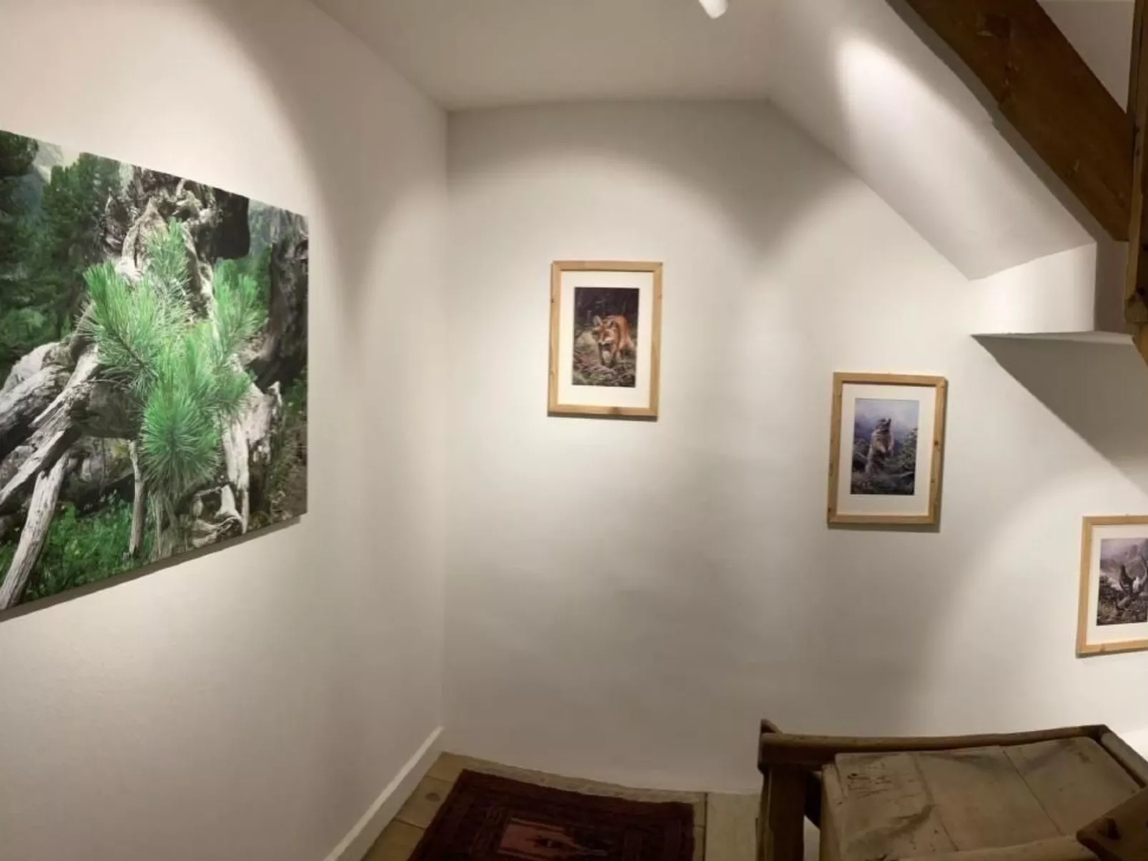 Chesa Robbi S-chanf-Binnen