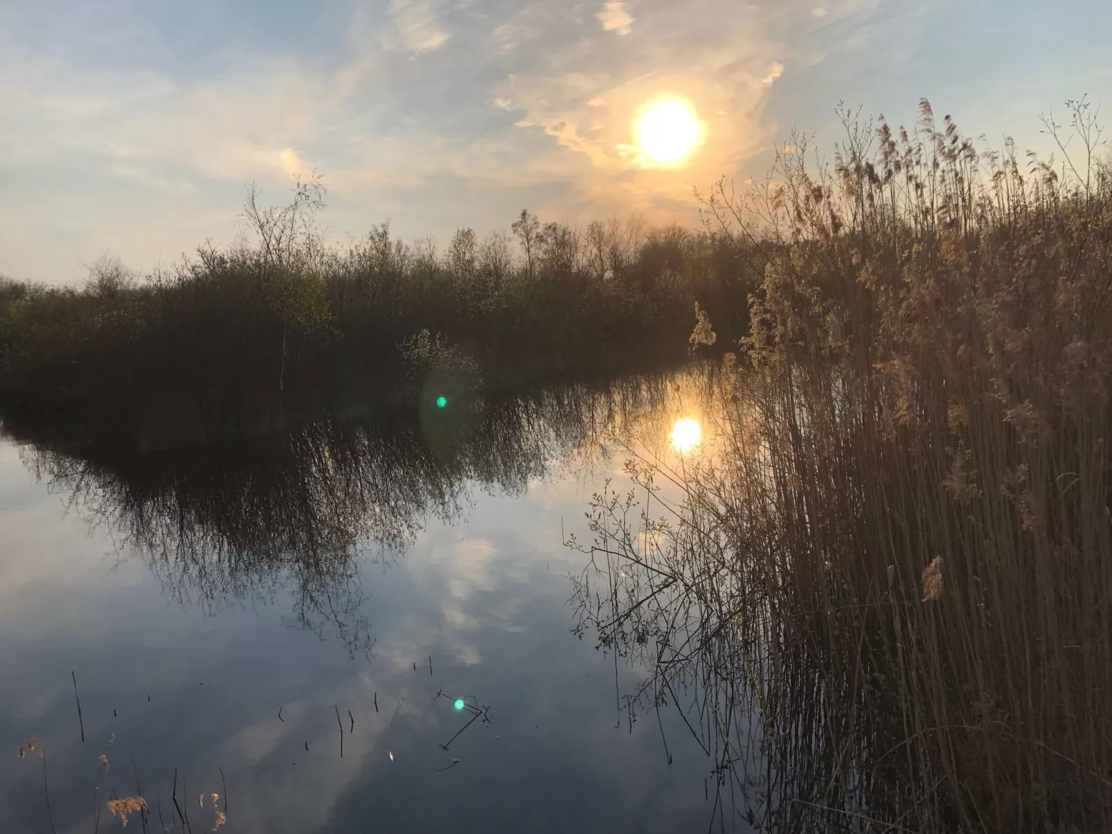 Geräumiges Ferienhaus mitten im Wald-Buiten