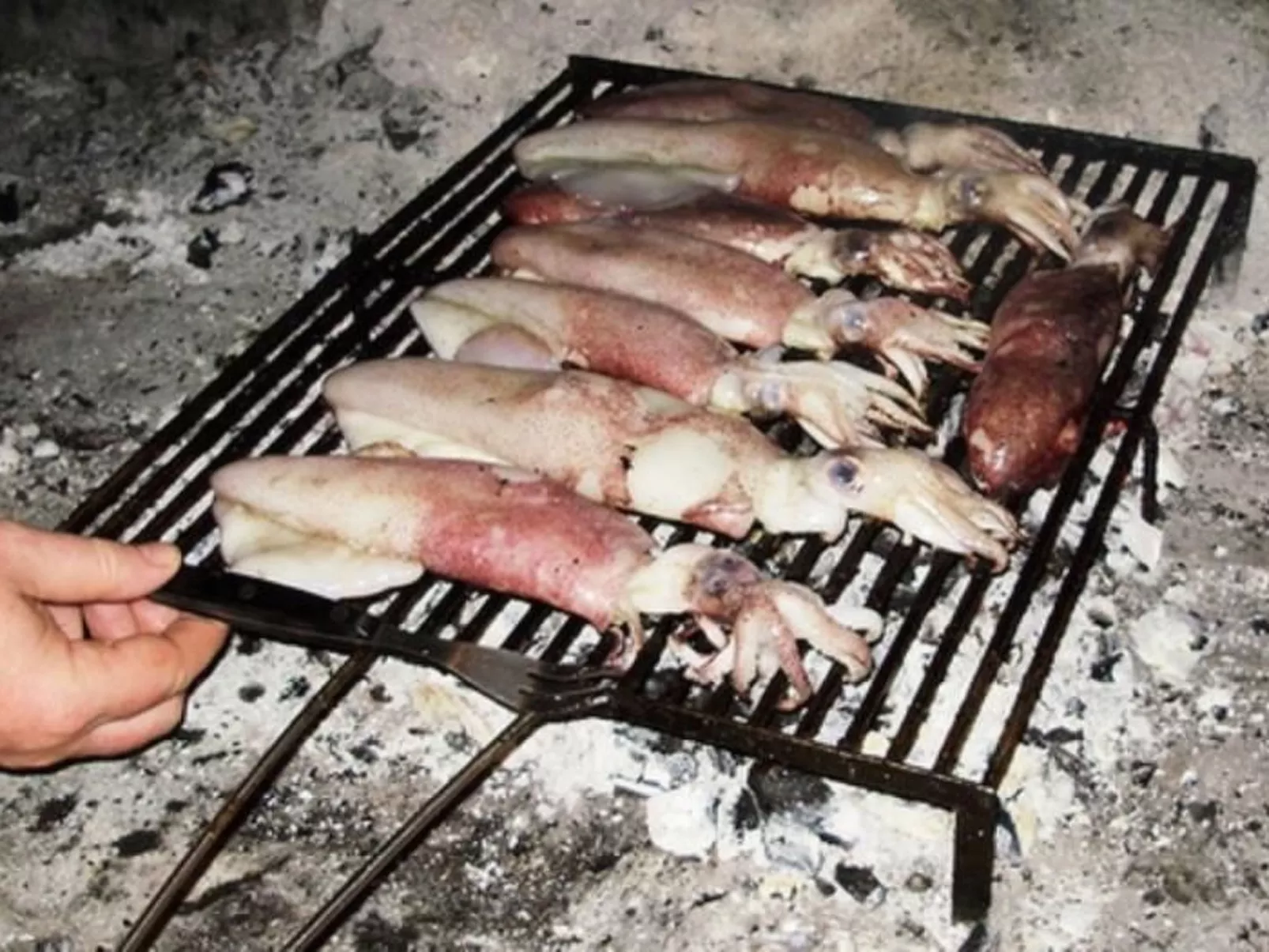 "Ein kleines Paradies"-Image-tags.info