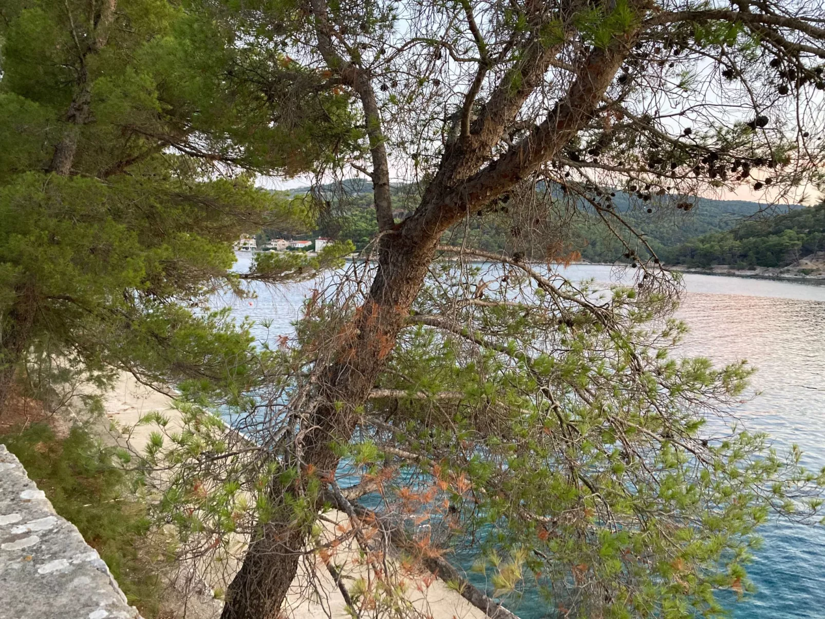 Wohnung in Povlja mit privatem Parkplatz-Buiten