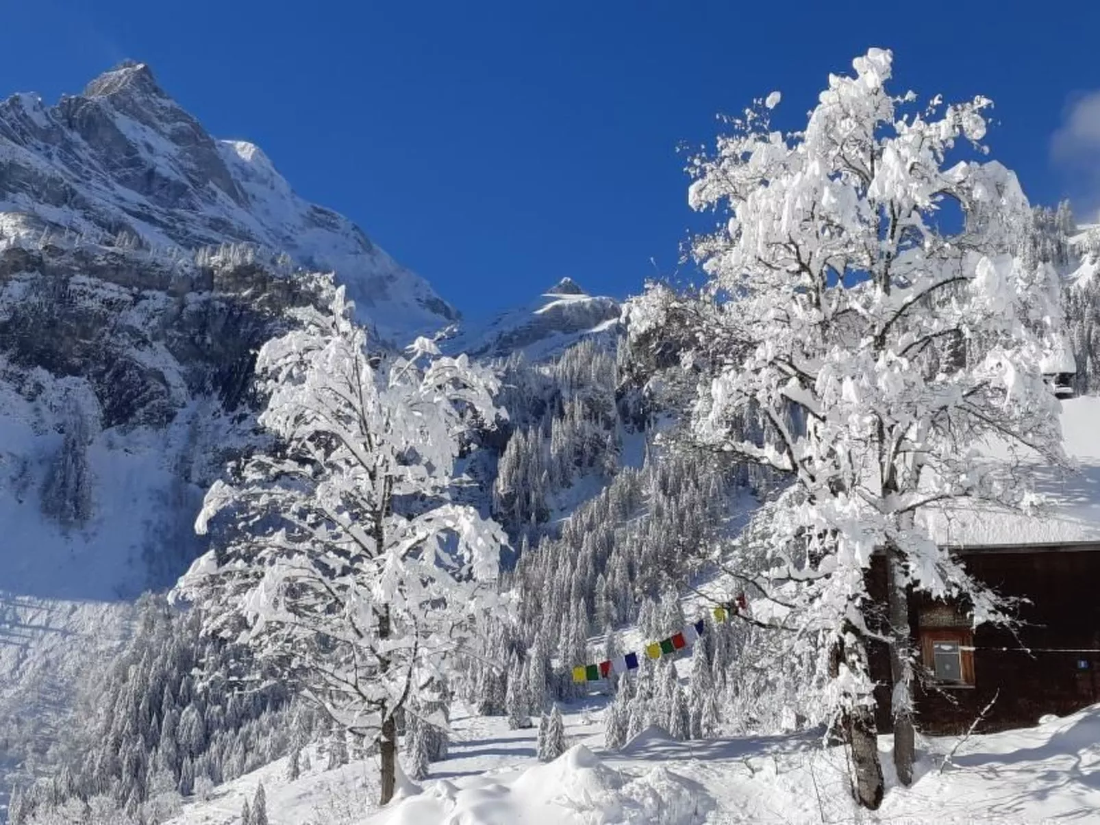 Rietberg 8 Braunwald-Buiten