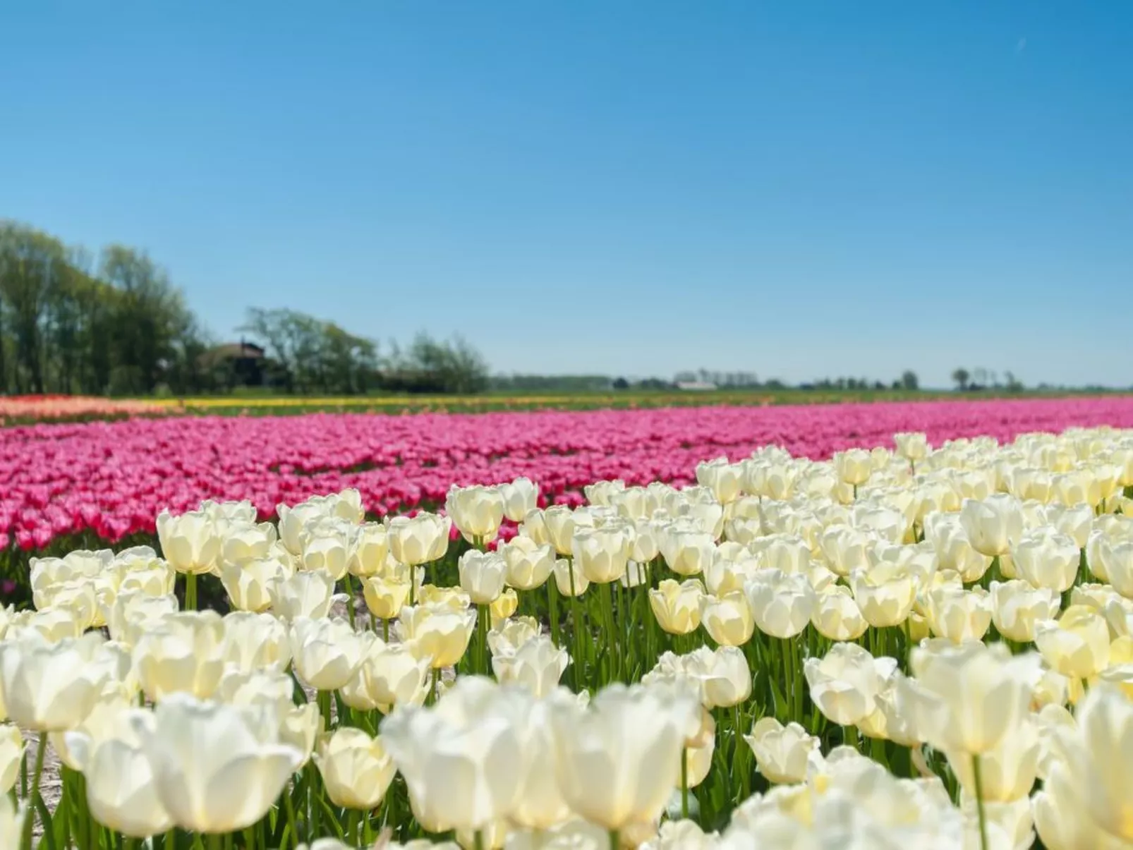 De Korre 2 in Callantsoog-Binnen