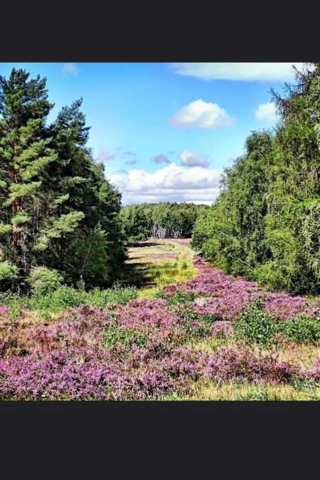 Haus-Fernblick-Binnen