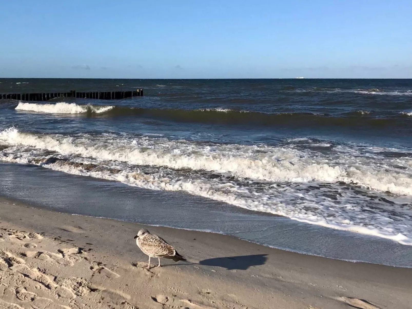Wiesenblick 5-Binnen